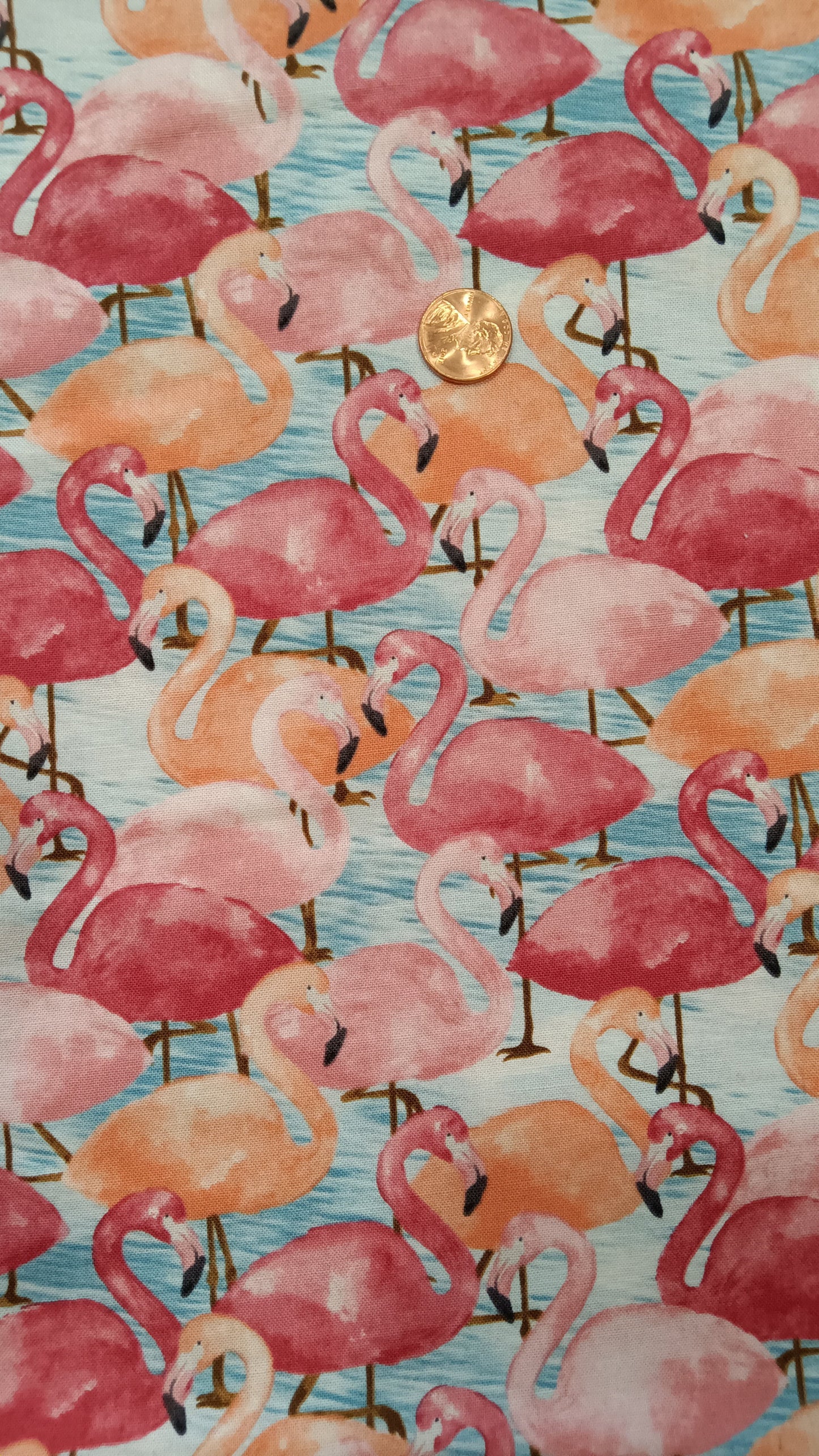 Pink Flamingos