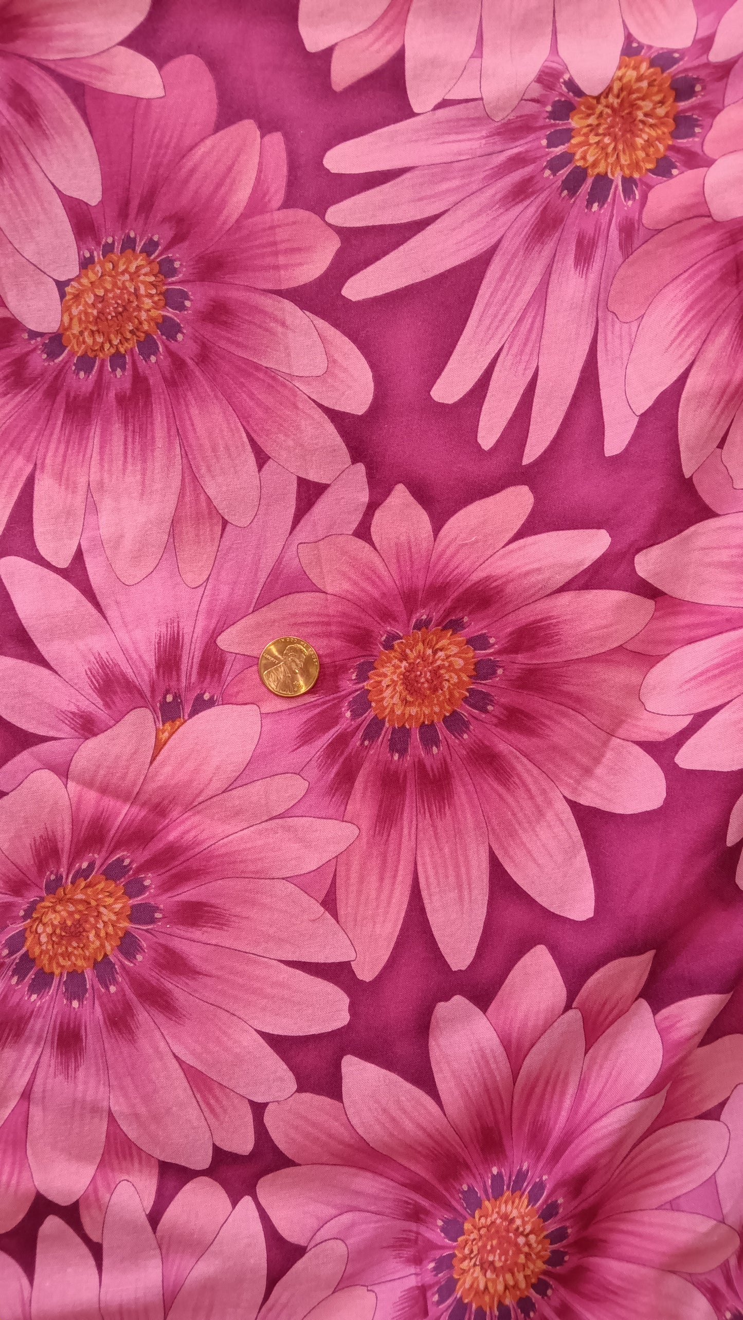 Pink Daisies